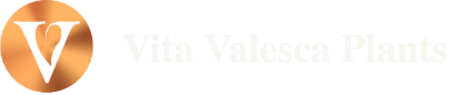 Vita Valesca Plants